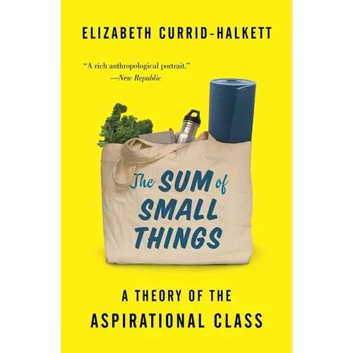 The Sum of Small Things: A Theory of the Aspirational Class